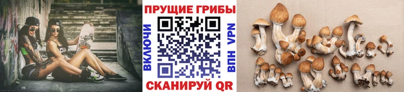 Галлюциногенные грибы GOLDEN TEACHER  Купить закладки  Павловская 